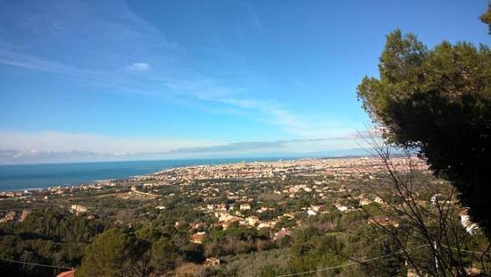 Antica Casa Ceccardi Daire Livorno Dış mekan fotoğraf